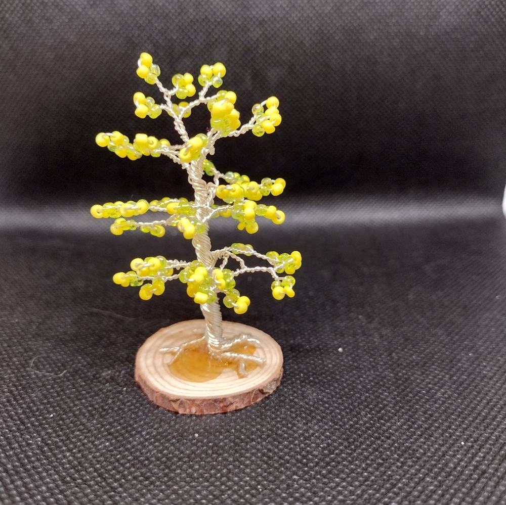 Small lucky lemon tree - Picture 4 of 4